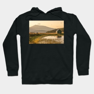 'The Grouse and The Midges', Glen Quaich, near Kenmore. Hoodie